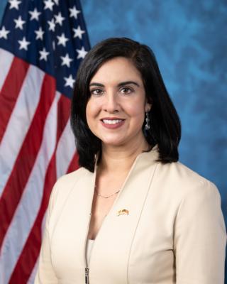 Portrait of Nicole Malliotakis