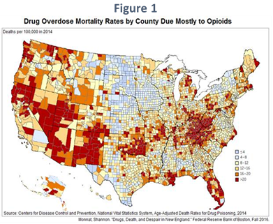 Drug overdose deaths by counties